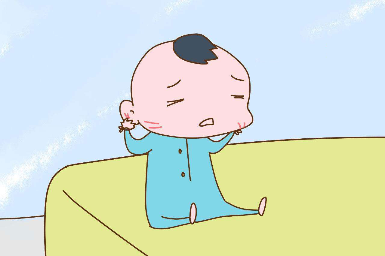 国宝“兄弟”冰城安家！大熊猫“芝士”“芝麻”抵达哈尔滨