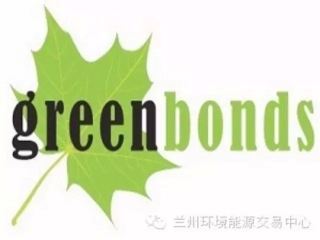 市政务服务中心：党建引领赋能环评审批提速增效